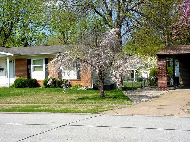 Spring 2005 Photo 4