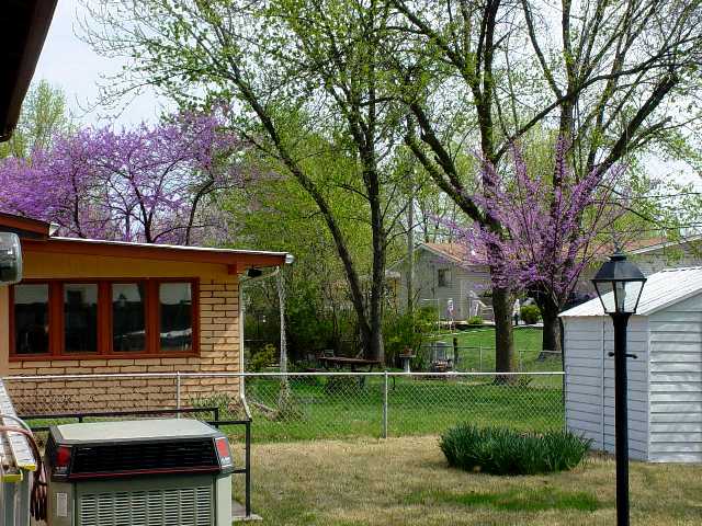 Spring 2005 Photo 9
