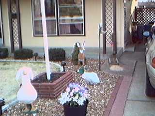 Spring 2002 Photo 2