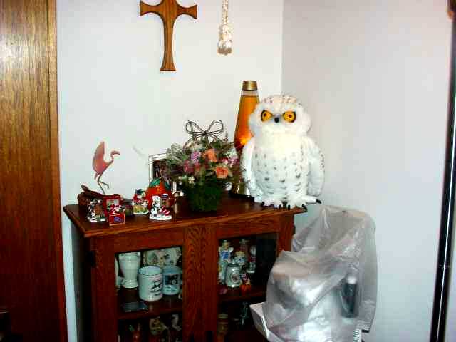 Mary's 2003 Owls Photo 15