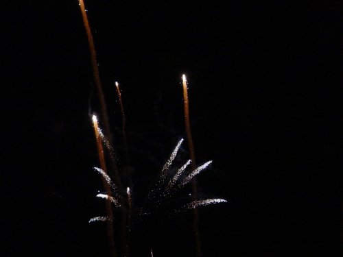 DSC01062.JPG
