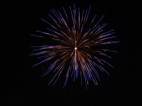 DSC01113.JPG