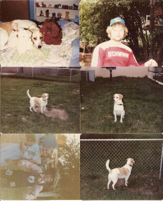 1982 Roy & Kay 50 year Aniversary 7.jpg
