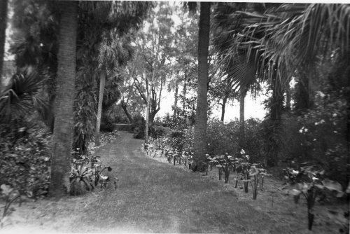 1945+ Fred & Marian Travel 5 in Florida.jpg