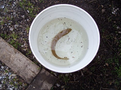 100_0031.JPG