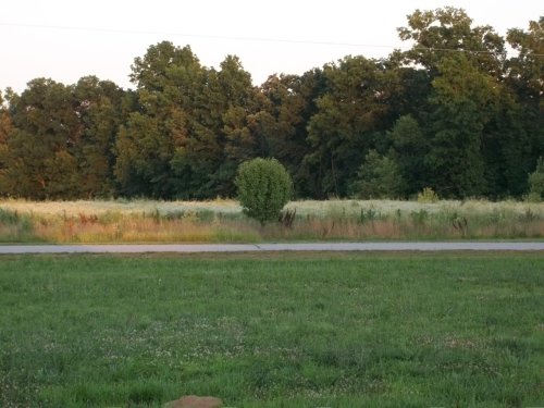A100_0075.jpg