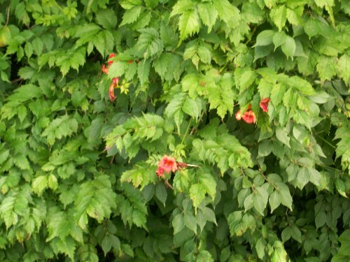 A100_0107.jpg
