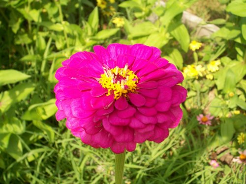 A100_0127.jpg
