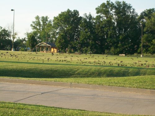 A100_0194.jpg